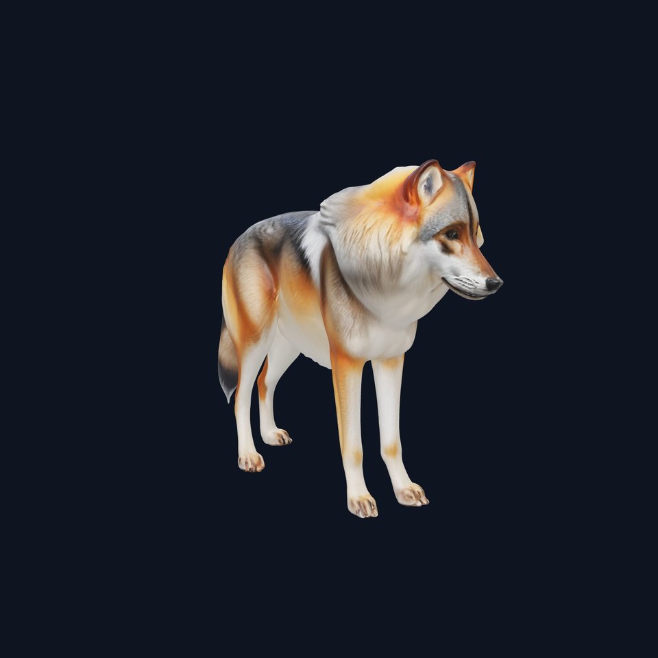 Realistic Wolf Model Pack for Animation and Games